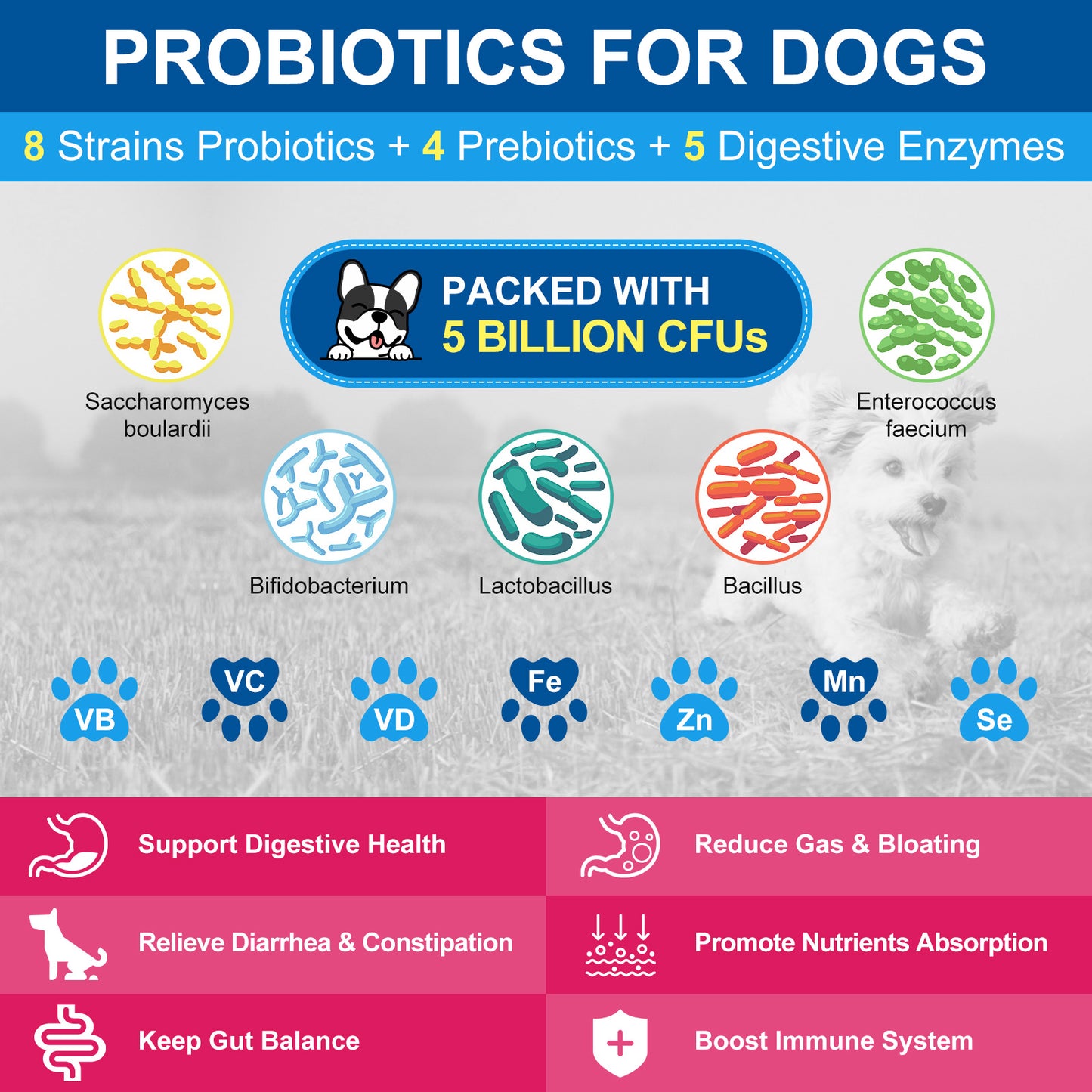 NATURE TARGET 10 in 1 Multivitamin for Dogs, Complete Supplement for Homemade Dog Food, Digestive & Joint & Skin & Immune Support - 90 scoops