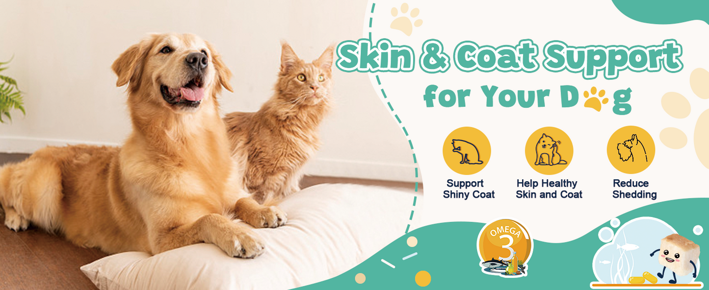 ZEBORA Dog Probiotics – 6billion CFUs with digestive enzymes, prebiotics, omega-3 & 6, vitamins for gut health, digestion & immunity – 120 chews