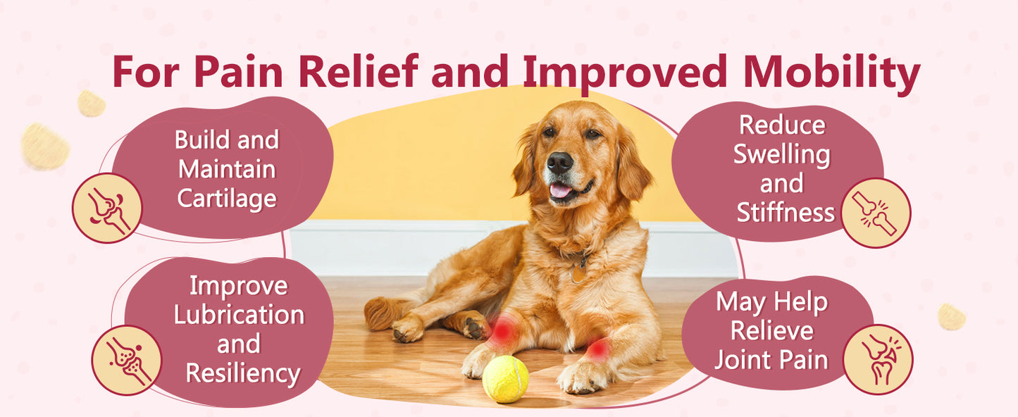 ZEBORA Dog Glucosamine – with chondroitin, MSM, hemp, turmeric, omega-3 & calcium; supports hip, joint, pain relief & skin health – 120 chews