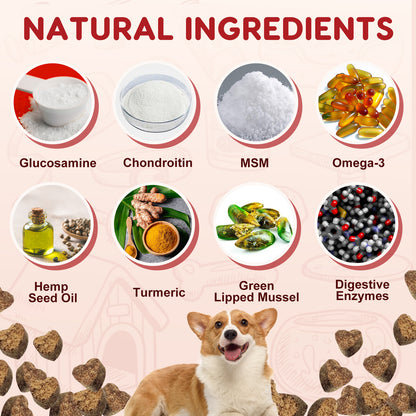 ZEBORA Dog Glucosamine with Chondroitin, MSM, Omega-3, Turmeric, Vitamins, Calcium & Phosphorus for Joint Pain Relief & Bone Health - 120 Soft Chews