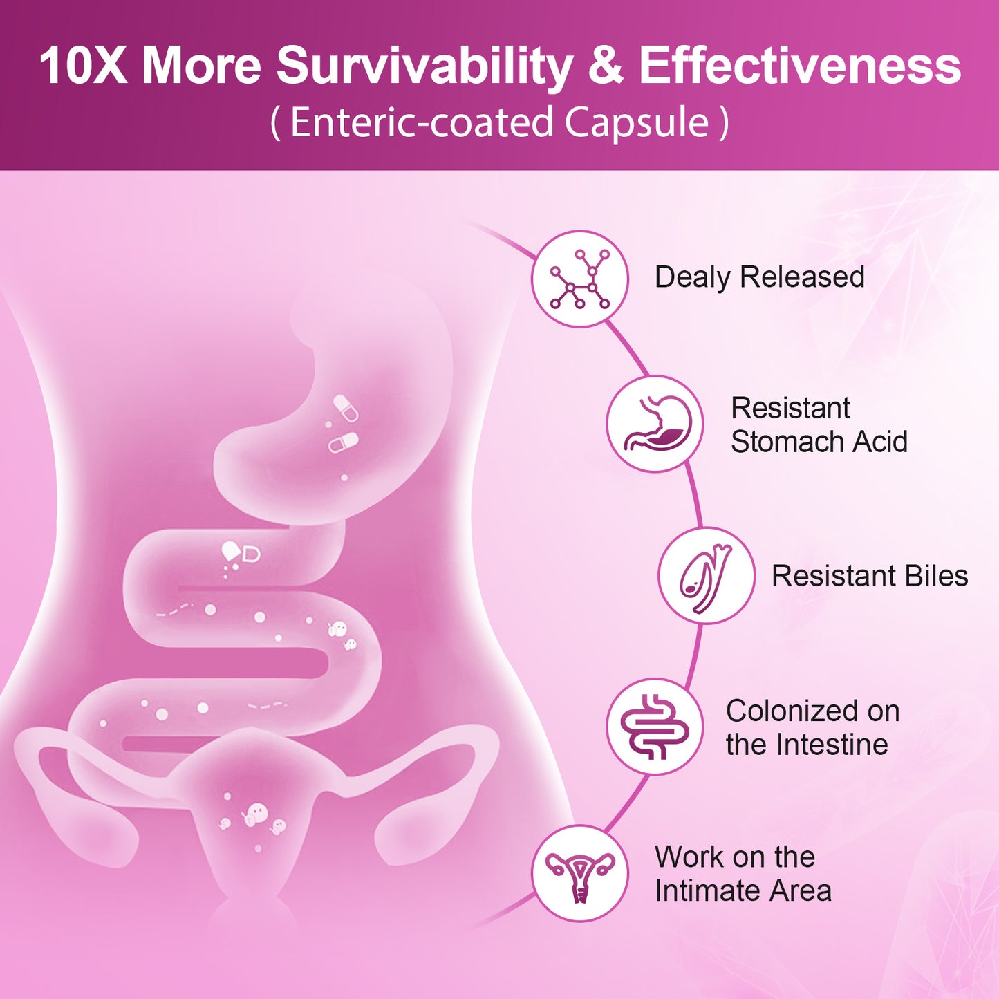 NATURE TARGET Women's Probiotics – 100 Billion CFUs with Digestive Enzymes, Prebiotics & Cranberry – 90 Veggie Capsules