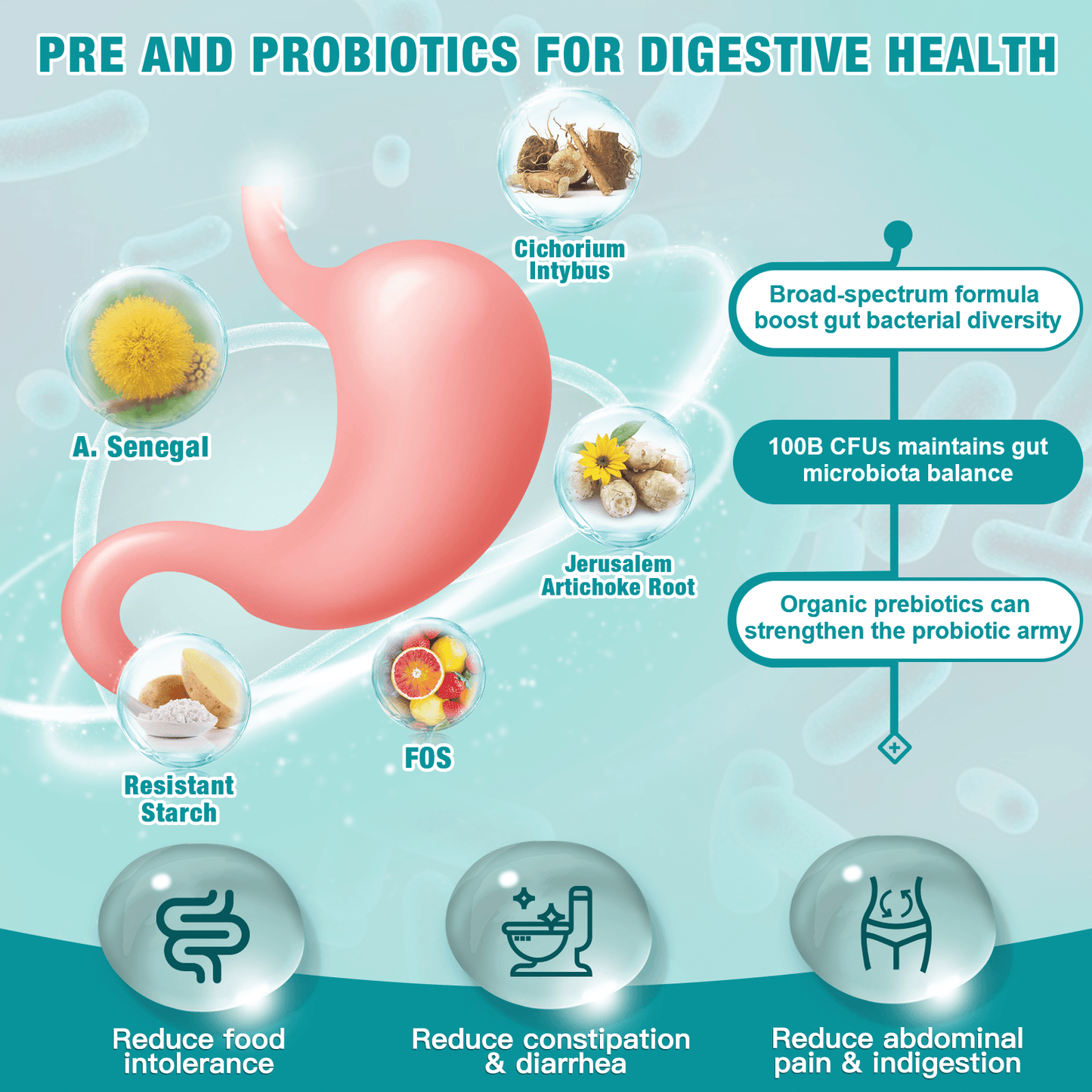 NATURE TARGET 5 in 1 Probiotics for Women-Men 100 billion CFUs with Prebiotics - 90 Veggie Capsules
