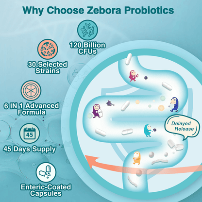 ZEBORA Probiotics for Women-Men Digestive Health with 120 Billion CFUs - 90 Veggie Capsules