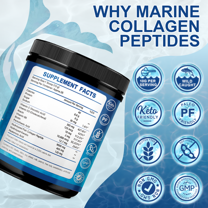 ZEBORA Marine Collagen: Wild Fish Collagen (I,III)+Keratin+MV+HA+Niacin+VC+Bio+18A – Anti-Aging,Skin/Hair/Nails/Jt/Bone/Imm/Energy – 35 Servings