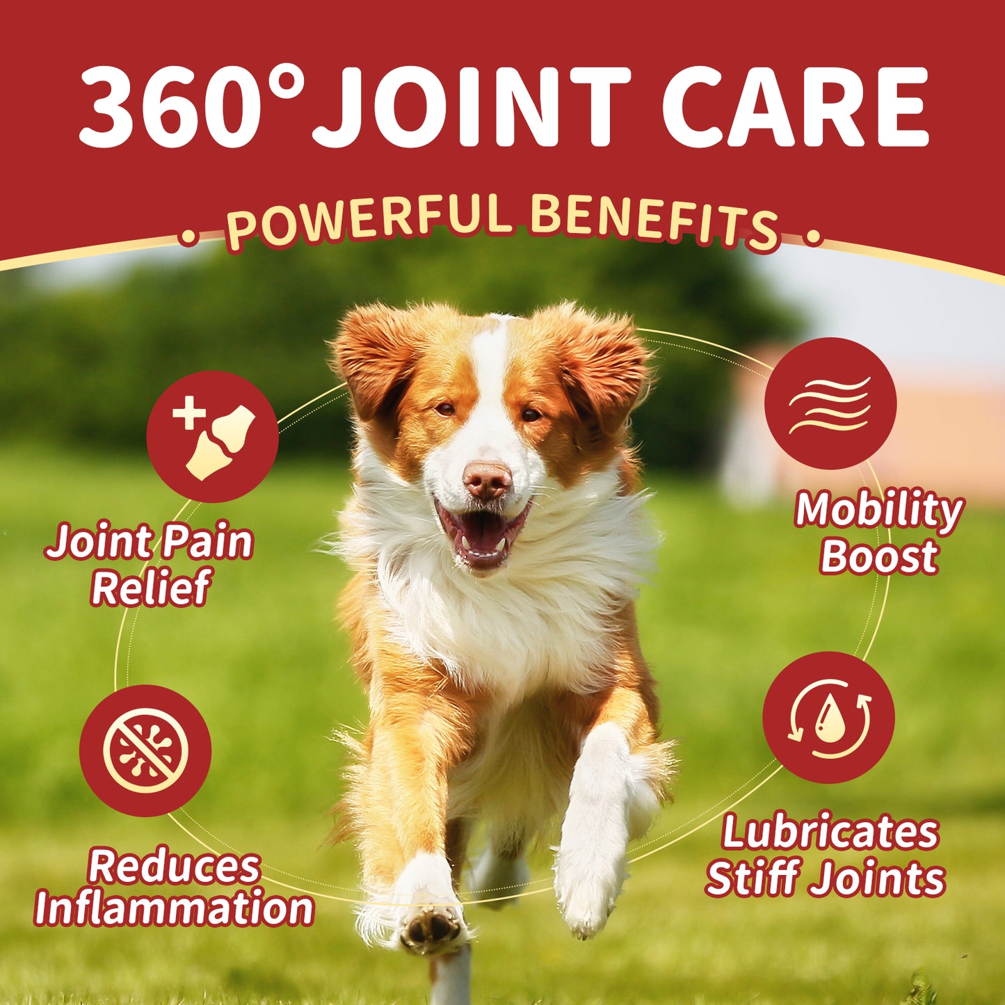 NATURE TARGET Dog Glucosamine Chews - Joint Support with Chondroitin, MSM, Omega-3, Hemp for Pain Relief, Hip & Joint Health, Plus Calcium for Bones, 120 Soft Chews