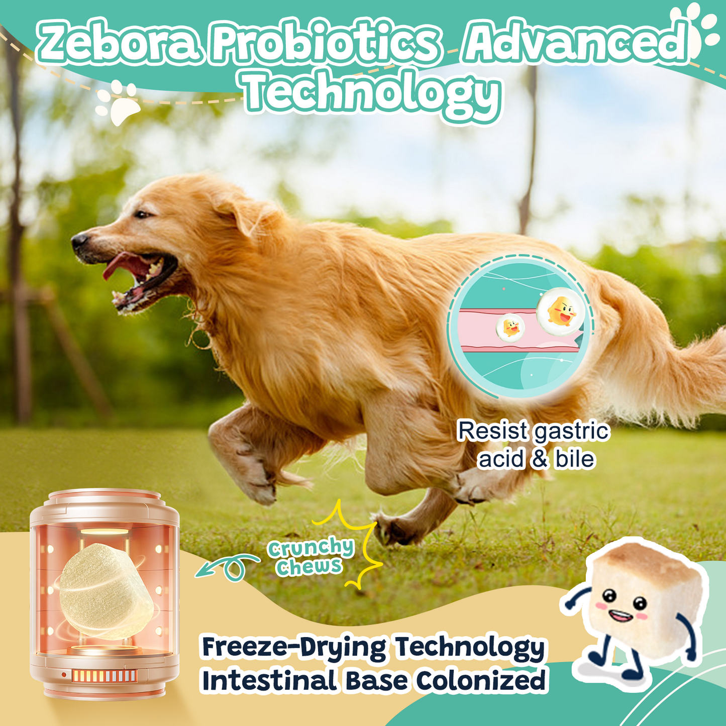 ZEBORA Dog Probiotics – 6billion CFUs with digestive enzymes, prebiotics, omega-3 & 6, vitamins for gut health, digestion & immunity – 120 chews