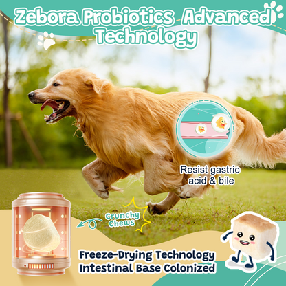 ZEBORA Dog Probiotics – 6billion CFUs with digestive enzymes, prebiotics, omega-3 & 6, vitamins for gut health, digestion & immunity – 120 chews