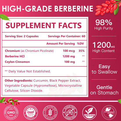 NATURE TARGET Berberine HCl 1200mg: + Ceylon Cinnamon, Chromium – Supports Immune, GI & Digest Hlth, Non-GMO – 120 Caps
