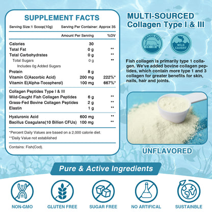 Nature Target 6-Type Collagen: CTP, 10g Peptides, 3B Pro, Vit C/HA - 90% Absorb, Skin/Joint/Bone/Hair/Nail - Unflavored - 24.7oz/70 Servings