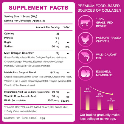 ZEBORA Multi Collagen Peptides: Hydrolyzed Coll(I-V,X)+HA+Biotin+Vit C – Supports Skin/Hair/Nails/Joints – 35 Servings