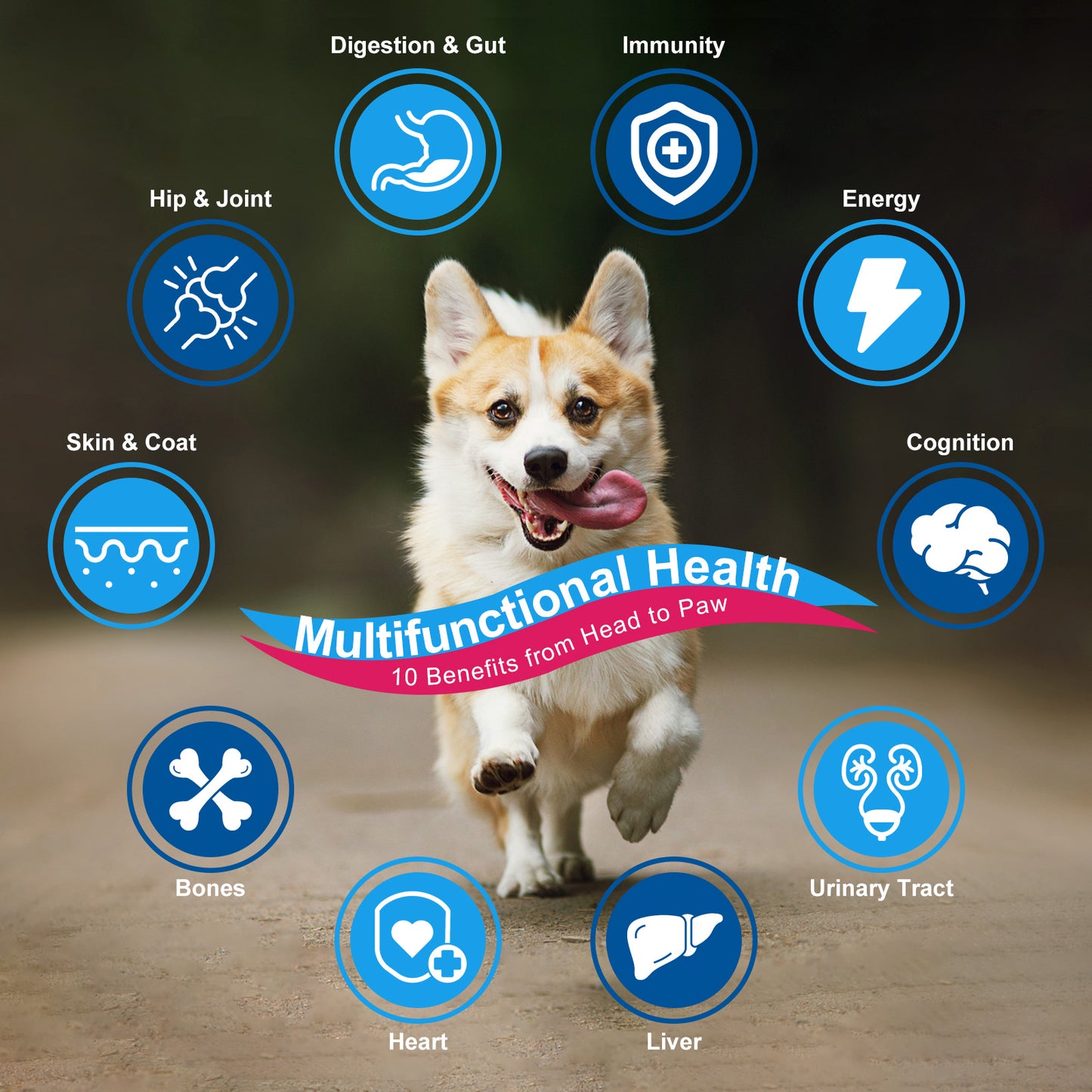 NATURE TARGET 10 in 1 Multivitamin for Dogs, Complete Supplement for Homemade Dog Food, Digestive & Joint & Skin & Immune Support  - 90 scoops