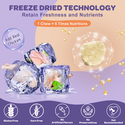 NATURE TARGET Dogs Probiotics 6 Billion CFUs for Digestive Health with Prebiotic, Digestive Enzymes, Omega 3 and Vitamins, Salmon Flavored - 120ct