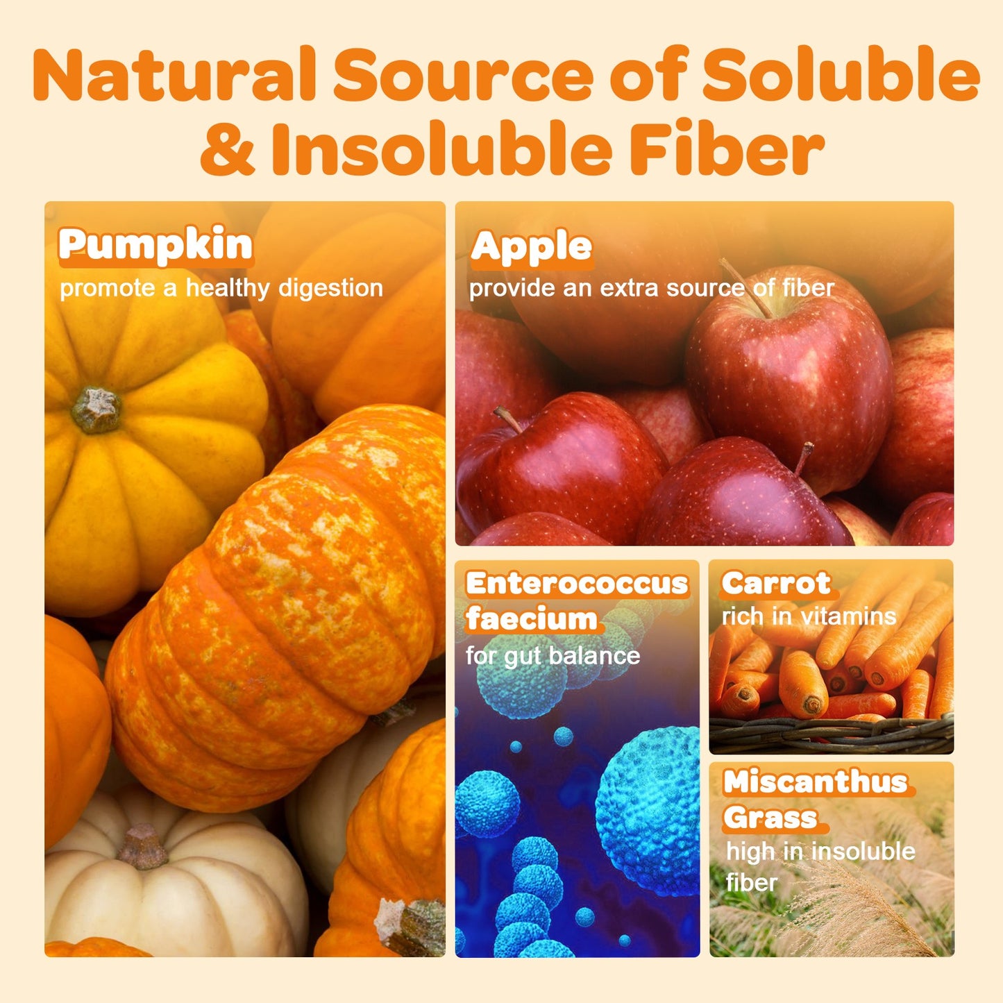 ZEBORA Pumpkin for Dogs – Natural fiber with apple & probiotics, supports digestion, firm stool, diarrhea & constipation. Add water to make puree - 60 Scoops