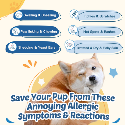 Dog Allergy Relief Chews, with Probiotics, Omega 3, Colostrum - Dog Itching Skin & Ears Relief, Herbal Skin & Coat Supplement, Gut & Immune Support, Hot Spot Treatment, Anti Seasonal Allergies