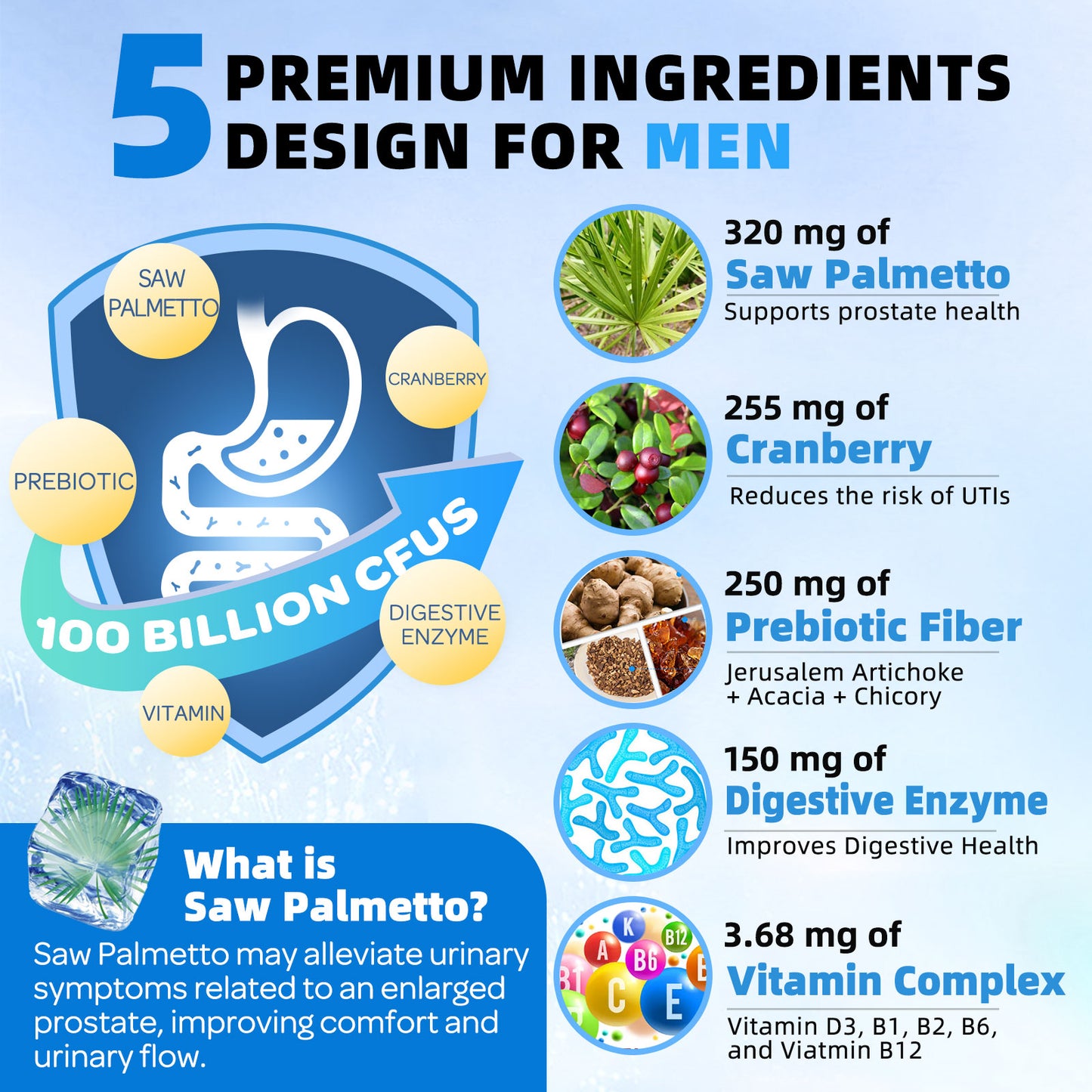 ZEBORA Probiotics for Men 100 Billion CFU - Probiotics & Prebiotics & Enzymes - 90 Veg Capsules