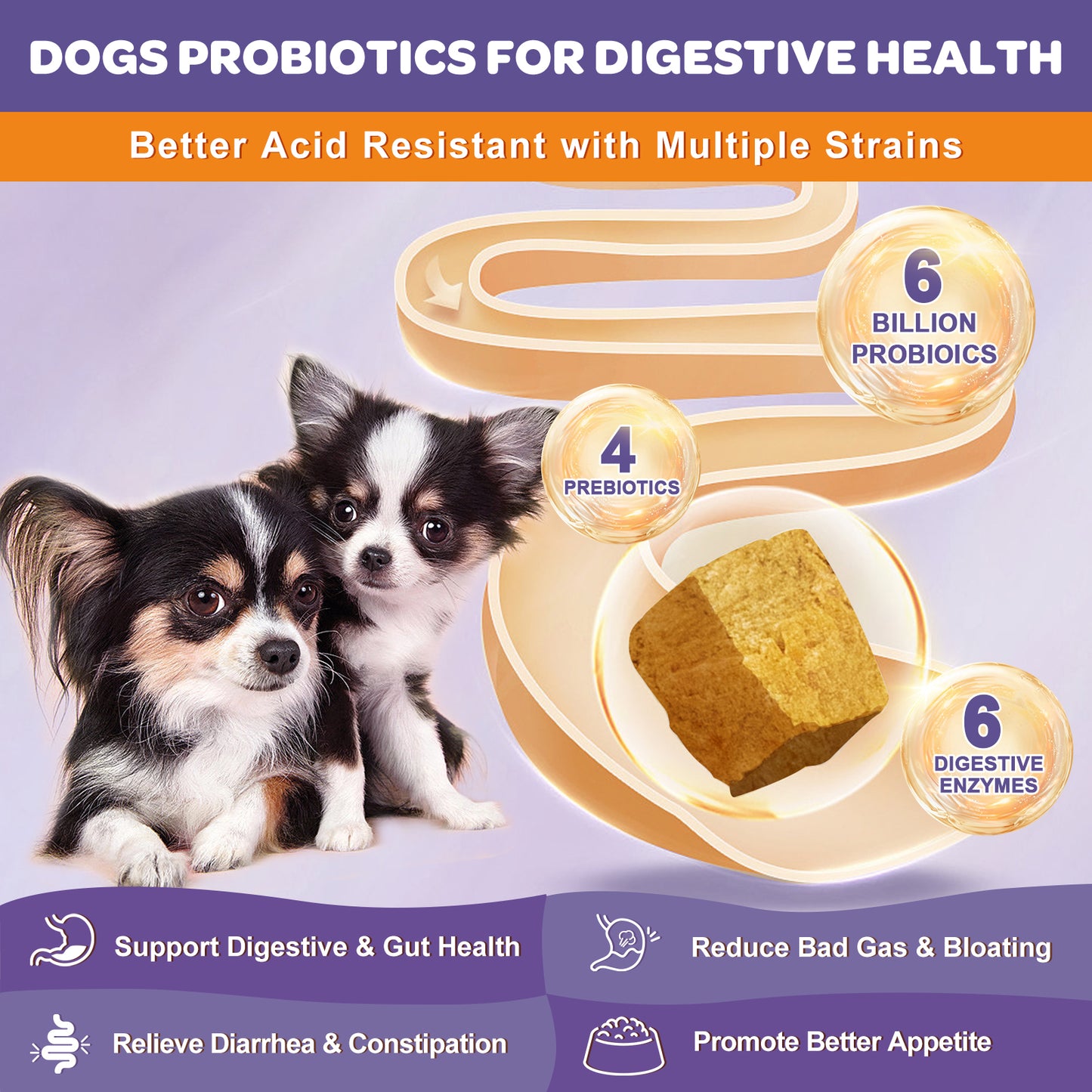 NATURE TARGET Probiotics for Dogs with 6B CFUs, Prebiotics & Enzymes. Helps relieve diarrhea, gas, and allergy itch. Supports skin & immune health with Vitamins & Omega 3 - 180ct