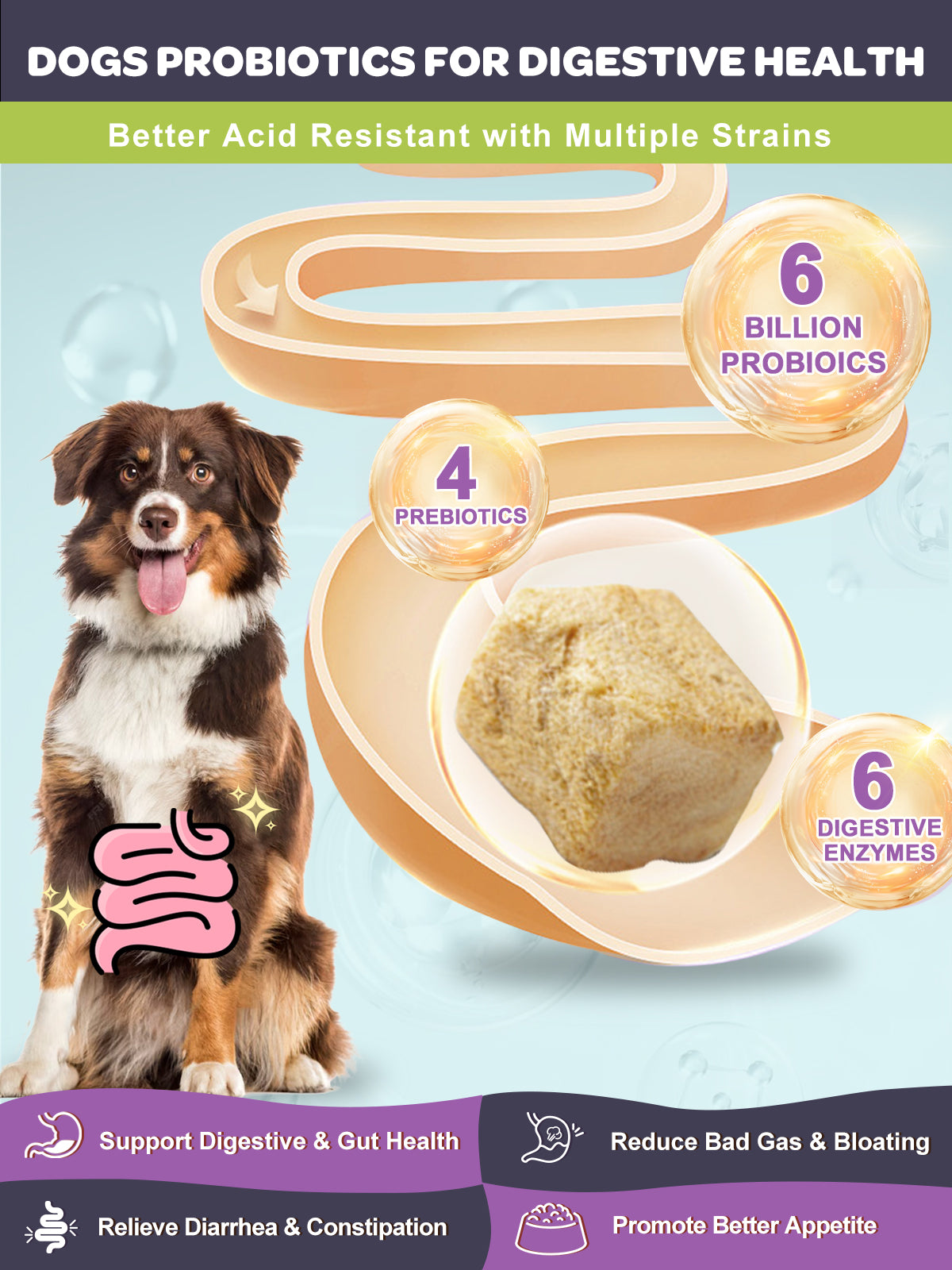 NATURE TARGET Dog Probiotics - 6B CFUs for Digestive Health, Prebiotics, Enzymes, Omega 3 & Vitamins for Skin & Coat, Salmon-Flavored, 120ct