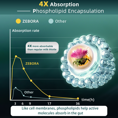 Milk Thistle Supplement with 450 mg Milk Thistle Extract (80% Silymarin)  for Liver Cleanse Detox & Repair, Liver Supplement - 120/240/360 Veggie Capsules