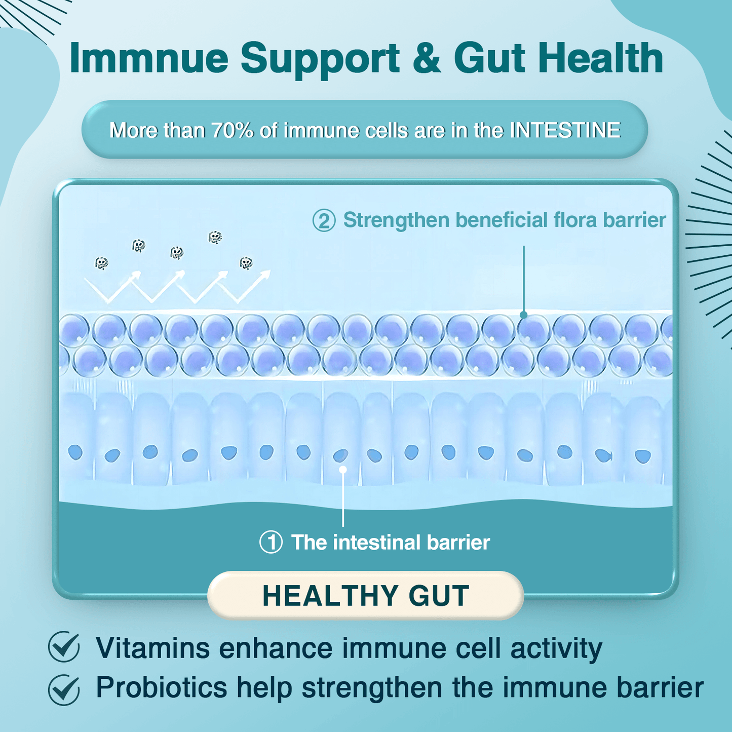 ZEBORA Probiotics for Women-Men Digestive Health with 120 Billion CFUs - 90 Veggie Capsules