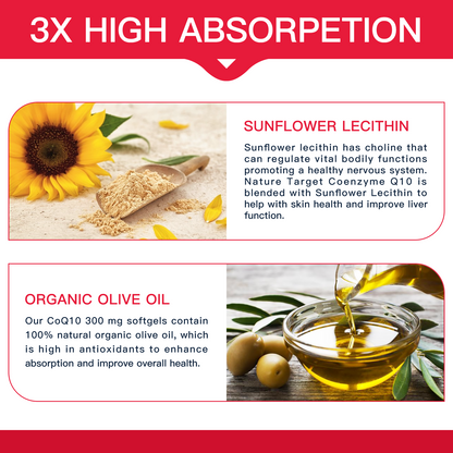 Nature Target CoQ10 300mg+PQQ, Olive Oil, High Absorption, Heart & Immune Support, Energy Production - 120 Servings