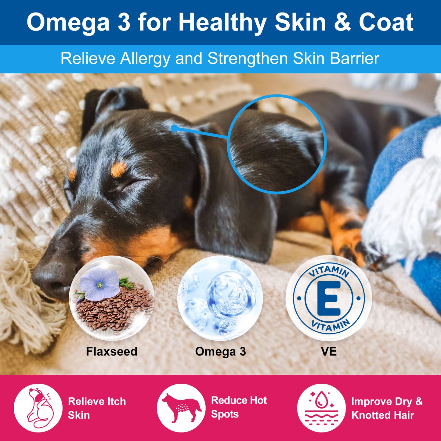 NATURE TARGET 10 in 1 Multivitamin for Dogs, Complete Supplement for Homemade Dog Food, Digestive & Joint & Skin & Immune Support  - 90 scoops