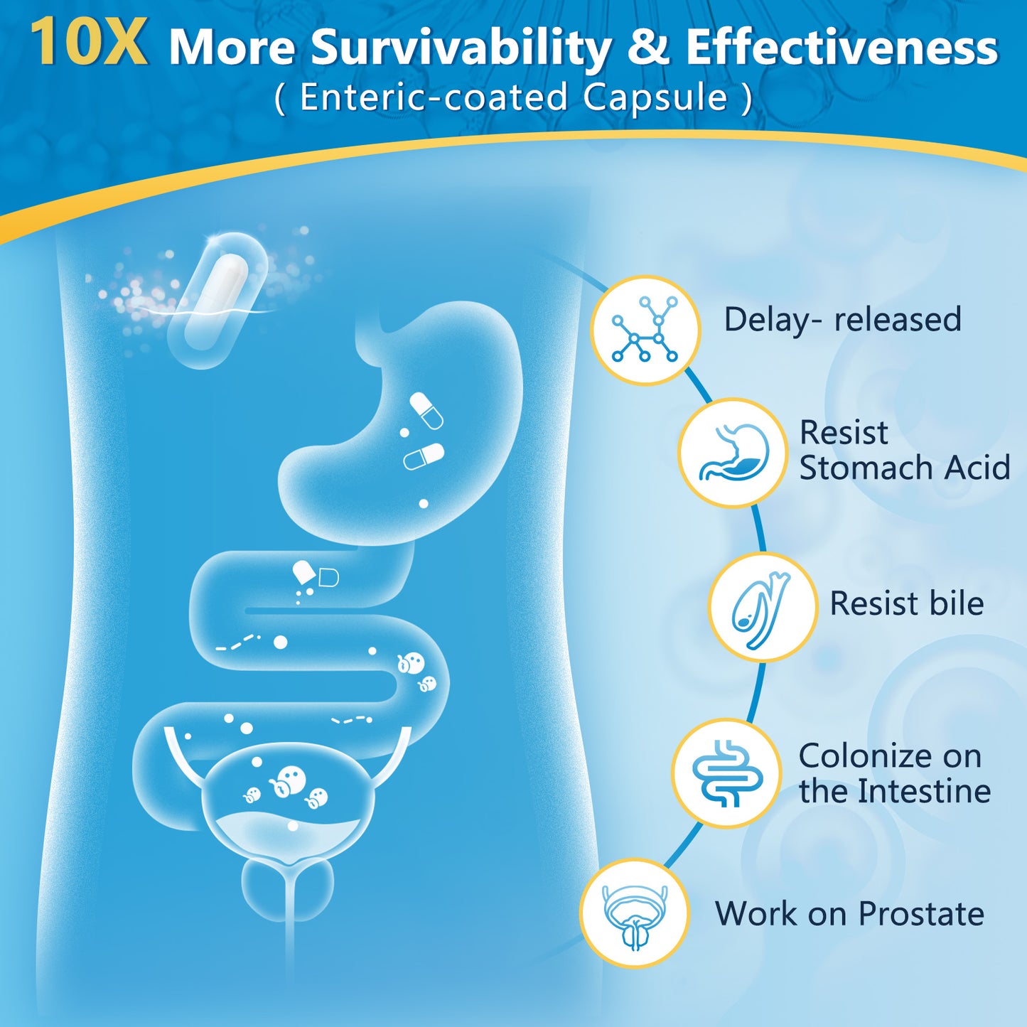 NATURE TARGET Men Probiotics 100Billion CFU with Enzymes PrebioticsSaw Palmetto and Cranberry -90 Veggie Capsules