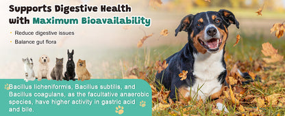 ZEBORA Dog Probiotics – 6billion CFUs with digestive enzymes, prebiotics, omega-3 & 6, vitamins for gut health, digestion & immunity – 120 chews