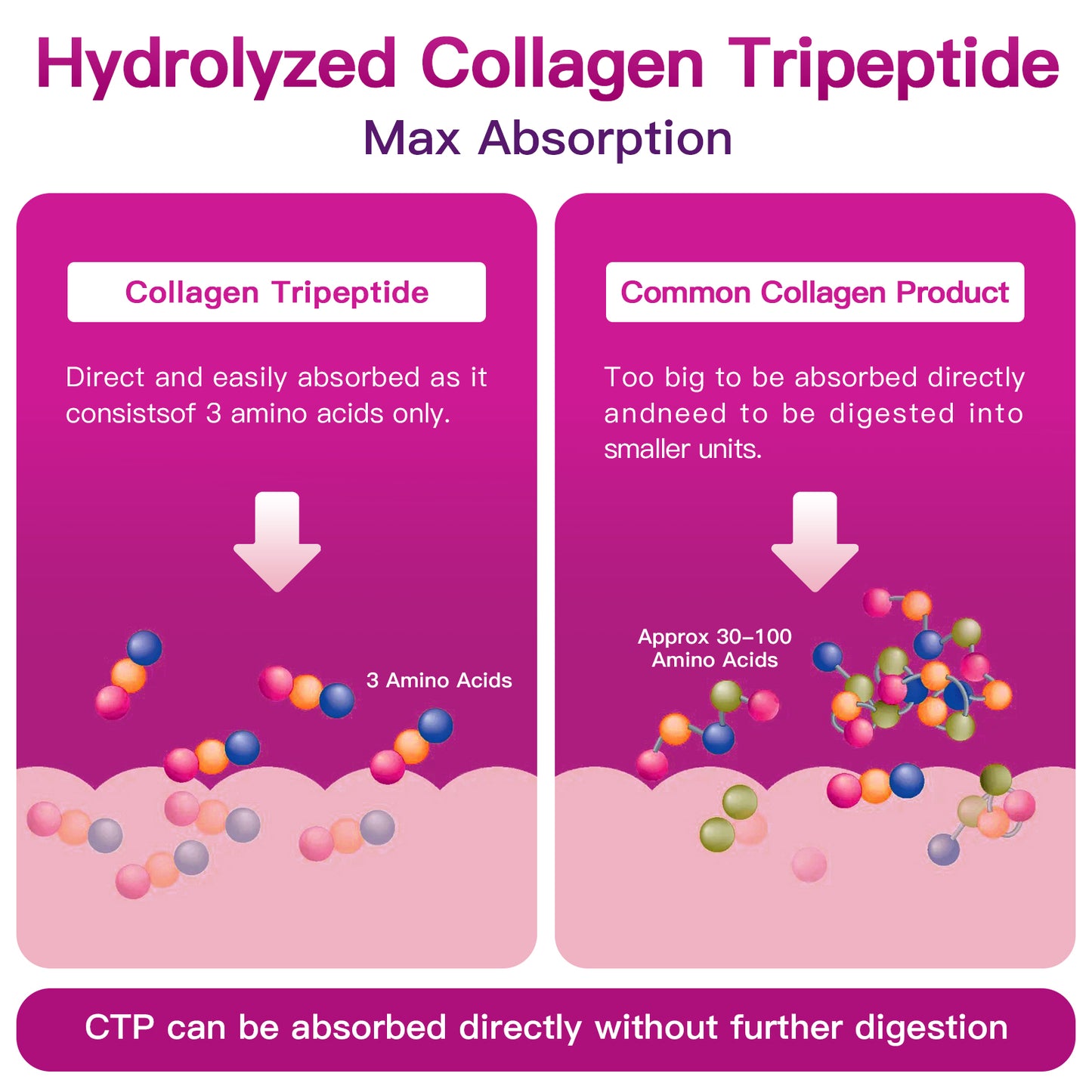 ZEBORA Multi Collagen Peptides: Hydrolyzed Coll(I-V,X)+HA+Biotin+Vit C – Supports Skin/Hair/Nails/Joints – 35 Servings