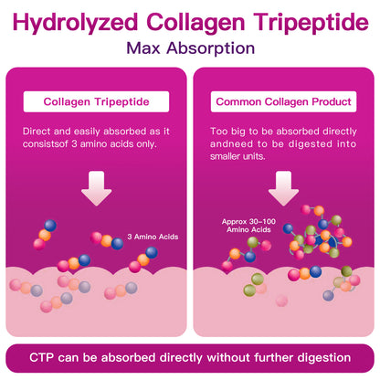 ZEBORA Multi Collagen Peptides: Hydrolyzed Coll(I-V,X)+HA+Biotin+Vit C – Supports Skin/Hair/Nails/Joints – 35 Servings