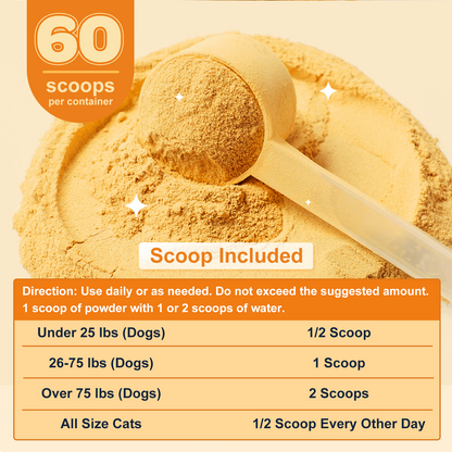 ZEBORA Pumpkin for Dogs – Natural fiber with apple & probiotics, supports digestion, firm stool, diarrhea & constipation. Add water to make puree - 60 Scoops