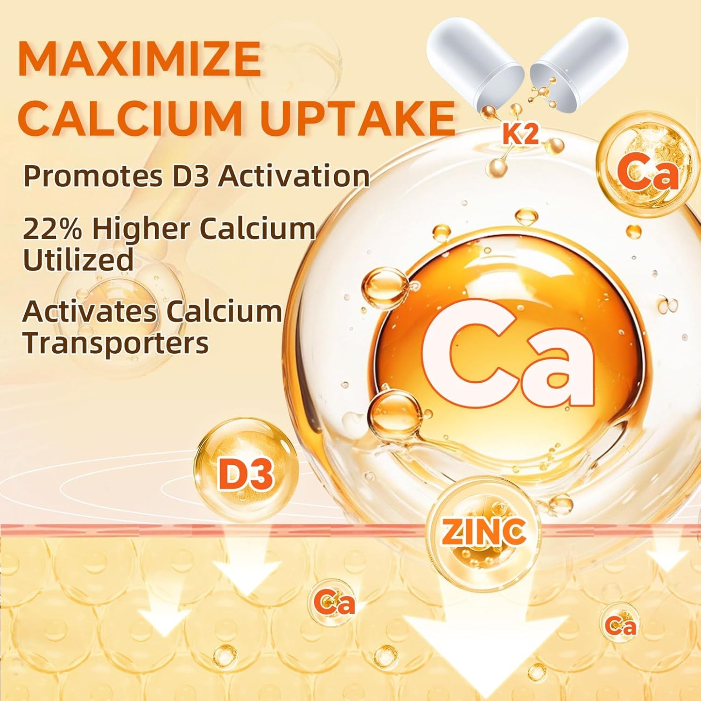 ZEBORA D3+K2: 5000 IU D3 + 100mcg K2 MK-7 for bone, teeth, heart & immune support – easy swallow, gluten-free - 120 caps