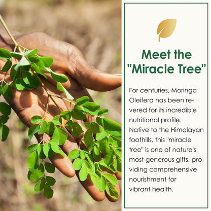 NATURE TARGET Moringa Caps: Boost Energy, Immunity, Joints, Skin—100% Pure Leaf Extract (Vit A,C,E, Ca, K, Fe, 9 Amino Acids, Antioxidants) - 120ct