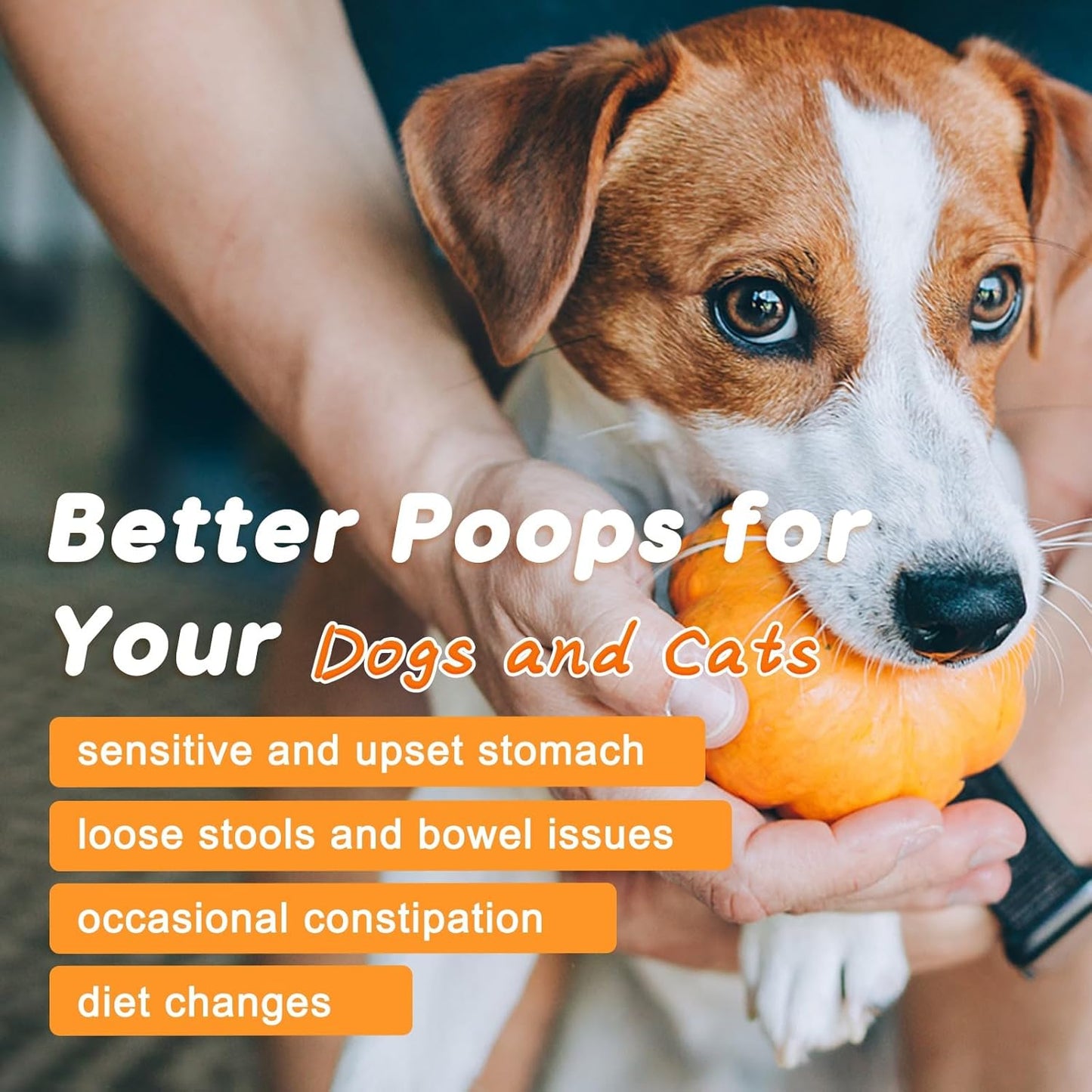 NATURE TARGET Dog Pumpkin: All-natural fiber with digestive enzymes & apple. Supports healthy stool, relieves diarrhea & constipation - 60 Scoops