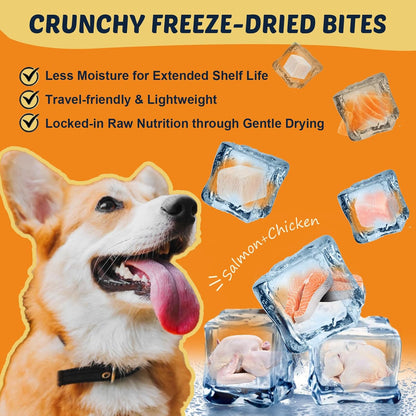 DRFOSTER Omega-3 Fish Oil for Dogs: salmon oil, EPA/DHA, astaxanthin, VitE. Boosts skin, coat, itch/allergy, shedding, hot spots, joints - 120chews