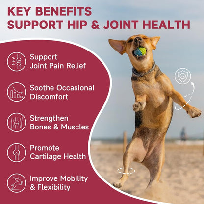 ZEBORA Dog Glucosamine – with chondroitin, MSM, hemp, turmeric, omega-3 & calcium; supports hip, joint, pain relief & skin health – 180 chews