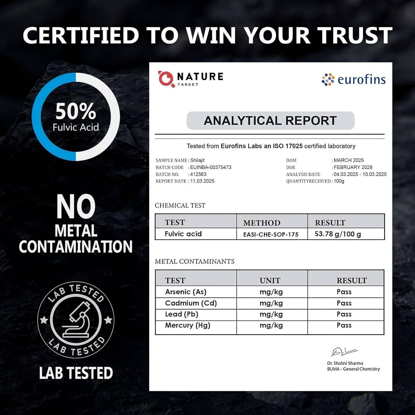 NATURE TARGET Himalayan Shilajit: 500mg Max Potency Fulvic Acid & Trace Minerals for Energy Boost – 120 Capsules