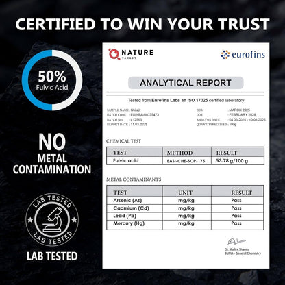 NATURE TARGET Himalayan Shilajit: 500mg Max Potency Fulvic Acid & Trace Minerals for Energy Boost – 120 Capsules