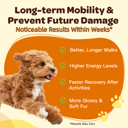 NATURE TARGET Glucosamine for Dogs, Chondroitin, MSM, Turmeric, Omega 3, Support Hip & Joint Mobility - Dog Joint Pain Relief - 9.52Oz