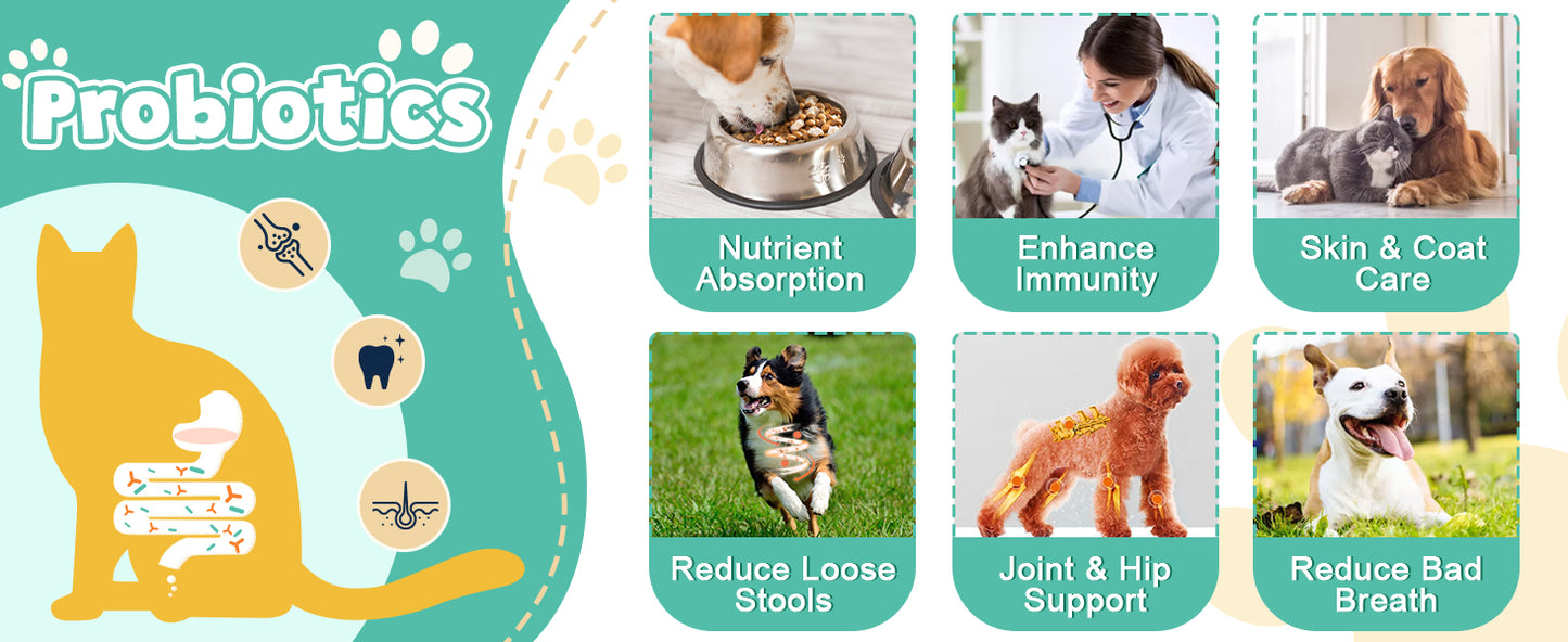 ZEBORA Dog Probiotics – 6billion CFUs with digestive enzymes, prebiotics, omega-3 & 6, vitamins for gut health, digestion & immunity – 120 chews