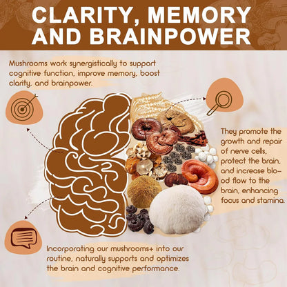 Mushroom Supplement, Mushroom Complex with Lion's Mane, Turkey Tail, Reishi, Cordyceps, Shiitake, 14-in-1 Mushrooms for Memory and Focus - 120 Capsules