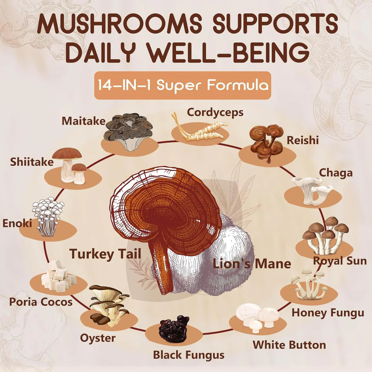 Mushroom Supplement, Mushroom Complex with Lion's Mane, Turkey Tail, Reishi, Cordyceps, Shiitake, 14-in-1 Mushrooms for Memory and Focus - 120 Capsules