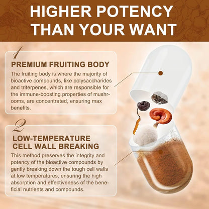 Mushroom Supplement, Mushroom Complex with Lion's Mane, Turkey Tail, Reishi, Cordyceps, Shiitake, 14-in-1 Mushrooms for Memory and Focus - 120 Capsules